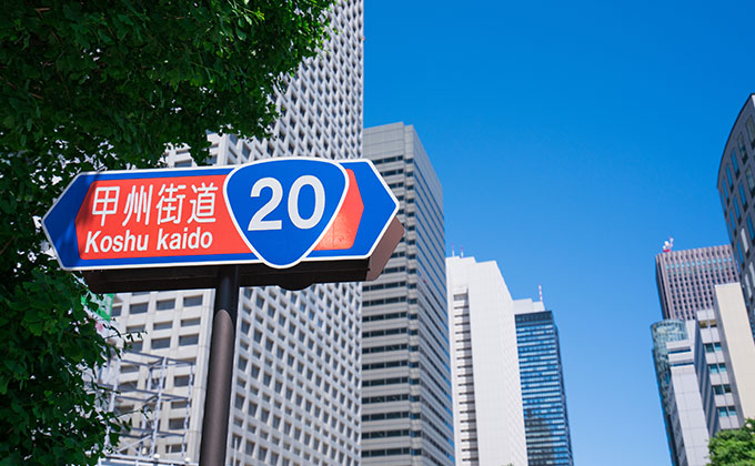 way_to_sakura_rubber